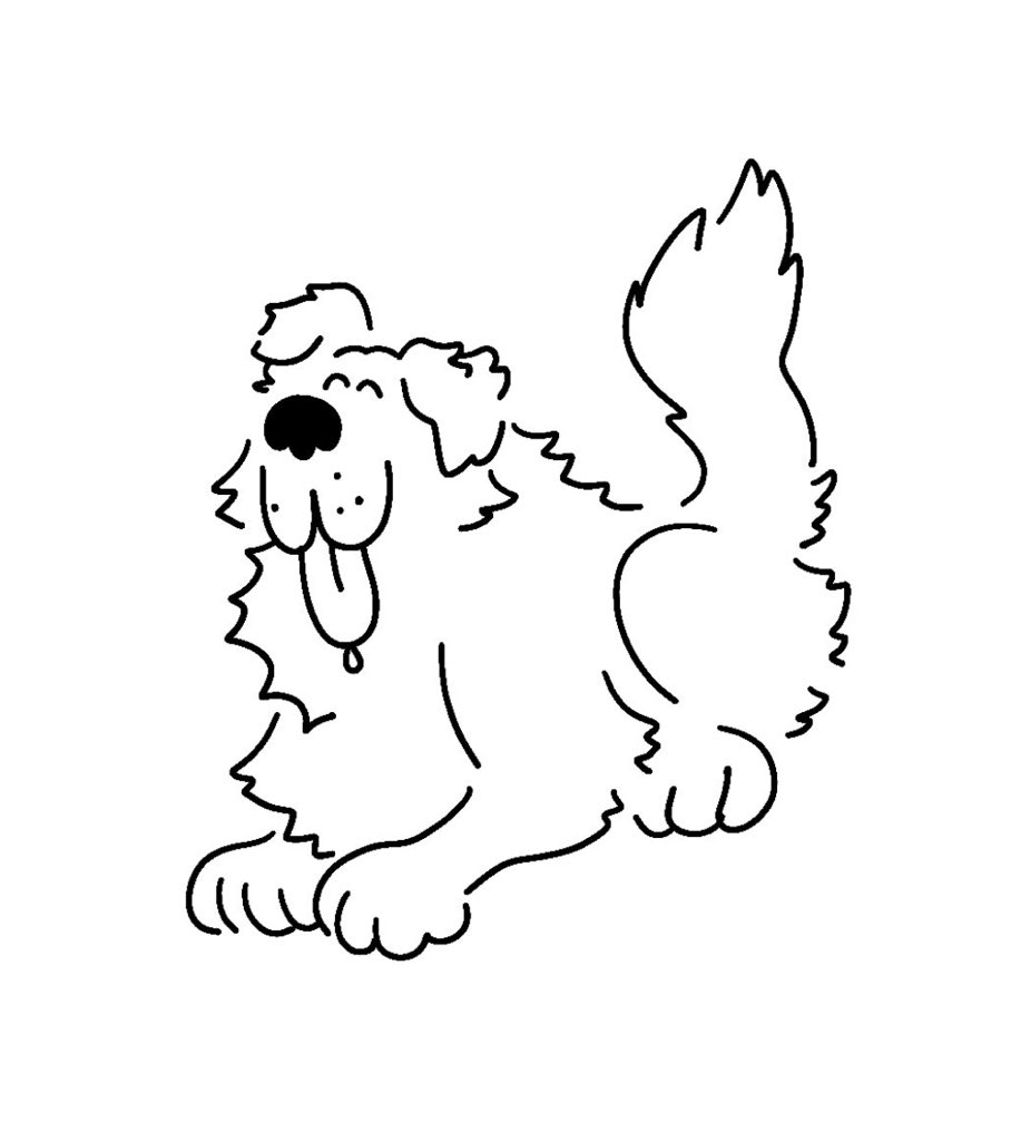 a woof for sarah 
