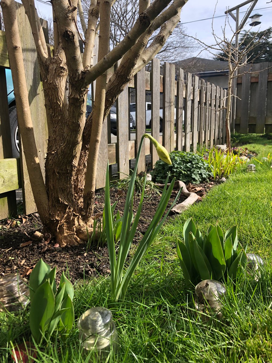 MOConnor23's tweet photo. Day 1 of 7 days of my life, no descriptions, no people. (Thank you @MeganOCO for the challenge.) I nominate @NinaGrossman 🌿 #7daysofmylife https://t.co/bP4xnl7cJy