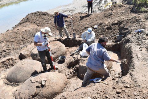 Jamie_Woodward_'s tweet photo. Farmer in Artentina discovers the remains of FOUR ancient armadillos in a dry river bed. The discovery of a group is unique - they may have been a family walking together. The gyptodonts were a genus of heavily armoured mammals - ancestors of the armadillo https://t.co/SHSavOSv2v https://t.co/Mey3xeYZcJ