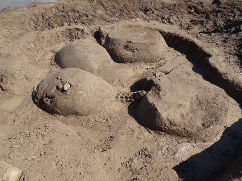 Jamie_Woodward_'s tweet photo. Farmer in Artentina discovers the remains of FOUR ancient armadillos in a dry river bed. The discovery of a group is unique - they may have been a family walking together. The gyptodonts were a genus of heavily armoured mammals - ancestors of the armadillo https://t.co/SHSavOSv2v https://t.co/Mey3xeYZcJ