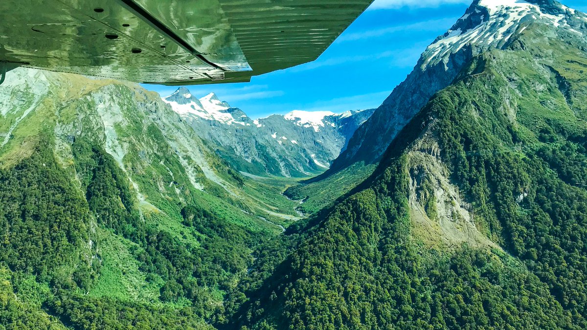 NZTrails tweet picture