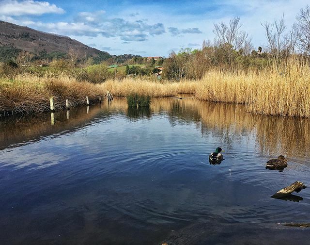 imaginaran's tweet photo. Domingos de relax. A veces hace falta coger aire y respirar hondo. -
#sundays #relax #slowlife #bidasoa #photography #landscapephotography #landscape #paisajesnaturales https://t.co/67iUIhKklH https://t.co/a72Ch8G6As