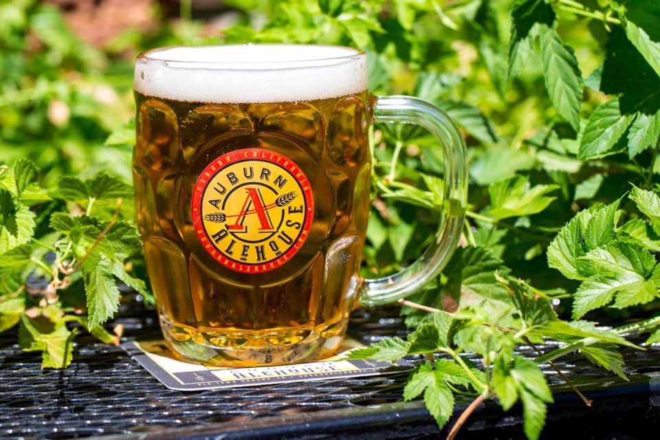 .<a href="/Auburn_Alehouse/">Auburn Alehouse</a> is attending EGBF ‘20! 🍺🍺🍺

VIP tickets will not last. Purchase yours today. -> elkgrovebrewfest.com