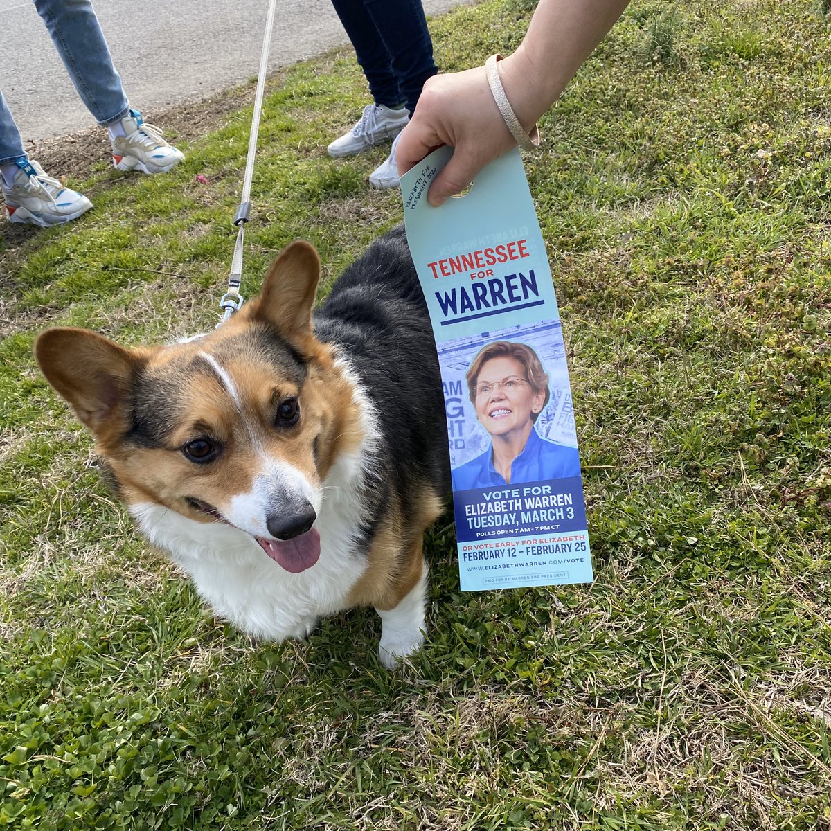 PersistTN's tweet photo. Knocking doors in The Nations neighborhood in Nashville today, having lots of impromptu chats with people out with their doggos.
Rooney the corgi is all in for Elizabeth Warren! 💙
#PresidentElizabethWarren #PresidentWarren #Warren2020 #DogsOfCanvassing #DogsForWarren https://t.co/EuzTIMWYqV