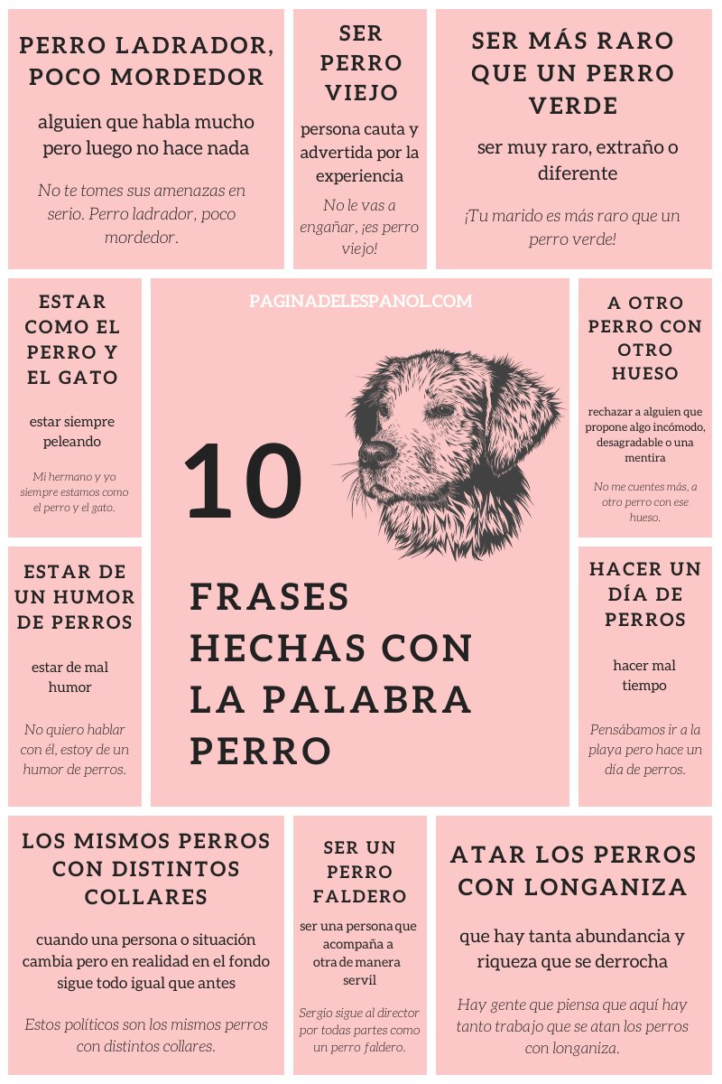 10 frases hechas con la palabra PERRO, ¿conoces alguna más?