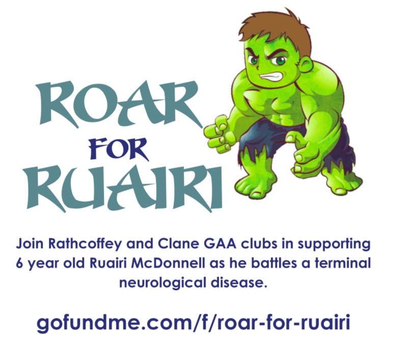 Yesterday, 29th February 2020, the McDonnell family attended the Family Rare Disease Day Party, hosted by President Michael D Higgins at at Áras an Uachtaráin. #RareDiseaseDay <a href="/PresidentIRL/">President of Ireland</a> <a href="/RathcoffeyGAA/">Rathcoffey GAA</a> <a href="/ClaneGAA/">Clane GAA</a> @ballycgaa