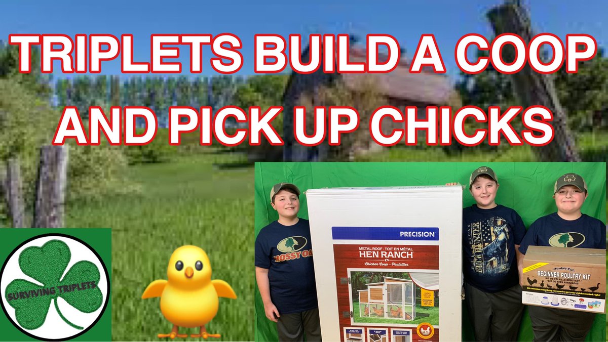 Surviving_Trips's tweet photo. TRIPLETS BUILD A COOP AND PICK UP CHICKS https://t.co/mmpRYVJWLh via @YouTube #chickens #triplets https://t.co/jpKl7wfcRK