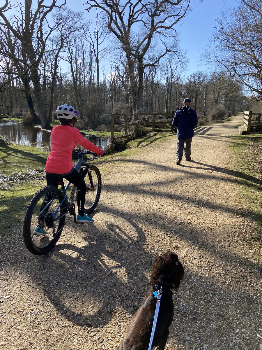 Love where I live. Beautiful family wander. #newforest