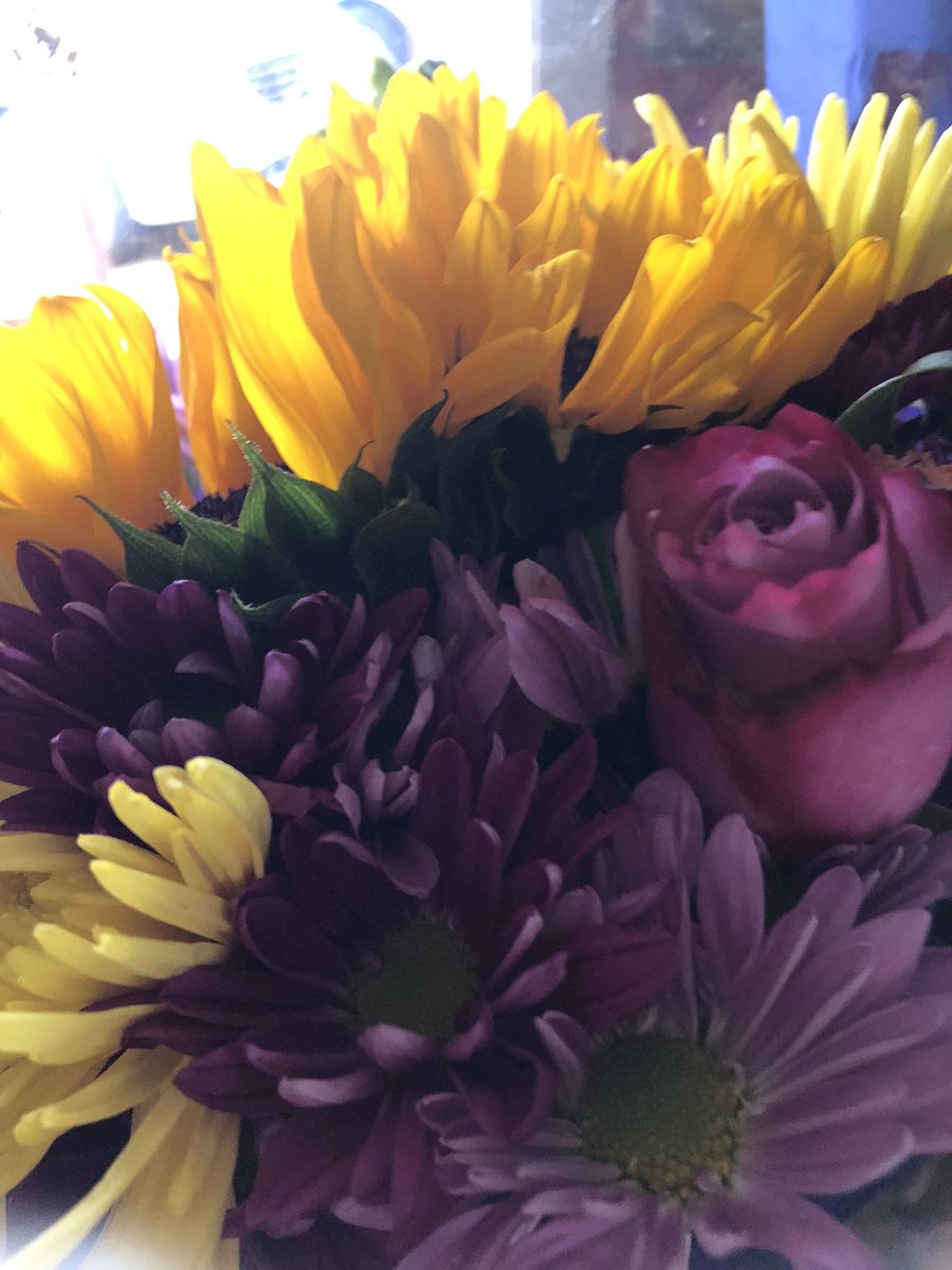 Dr. Holly Hansen-Thomas tweet media