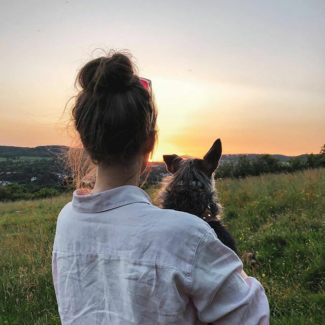 TheJanuaryRose's tweet photo. #MarchMeetTheMaker - Story 
So...The January Rose started when a tiny dog called Rosie entered my life 🐶 I wasn’t to keen on the cat collars I had to use on her little neck..so I went about making some pretty ones for her myself and it was at that po… https://t.co/lrHX3gT64w https://t.co/dmzDKxOJNc