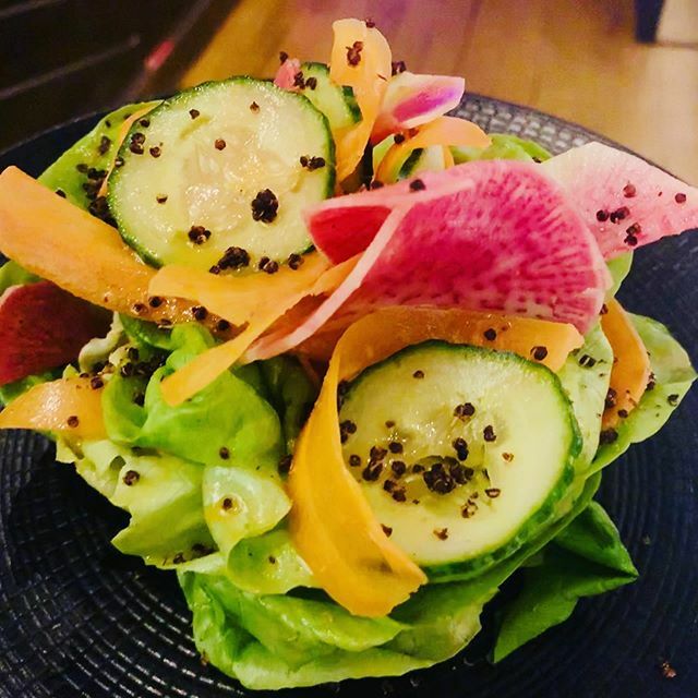 This is just the beginning... 💚#SuperGrain #BibbLettuce #Quinoa ift.tt/3clzPyb