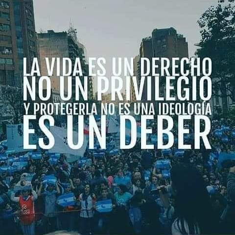 gloriavdelc's tweet photo. el colectivo verdeaborto dice que 1 hijo en el vientre es hijo sólo si lo deseas. Algo así como decir que el agua de 1 vaso es agua sólo si tenés ganas de tomarla. Las mujeres concebimos seres humanos, les guste o no. Y abortarlos es matarlos aunque sea legal #AbortoEsGrieta https://t.co/YG140lEmGQ