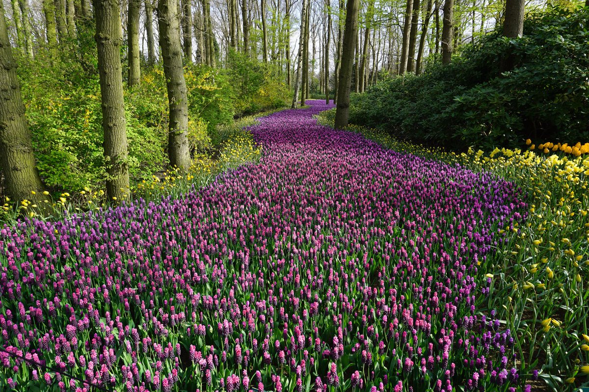 scholarships360's tweet photo. Spring is almost here, and that means pleasant days spent outdoors! Write an essay about your experiences in the Great Outdoors for a chance at this $1000 #Scholarship! 
https://t.co/2LzpLdMlj6 https://t.co/l9yeOEph1w
