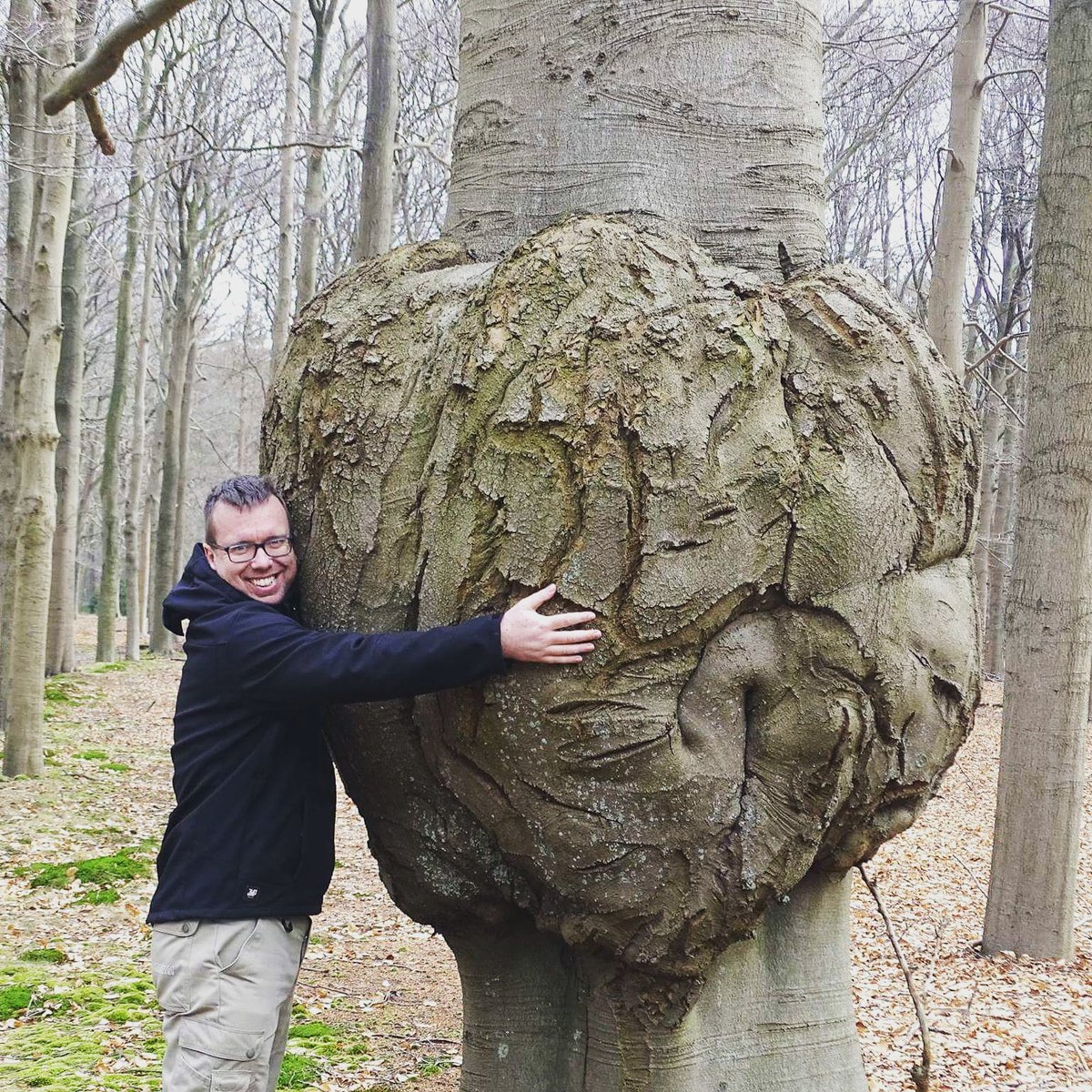 Bomenbieb (tweets: Simen Brunia) tweet media