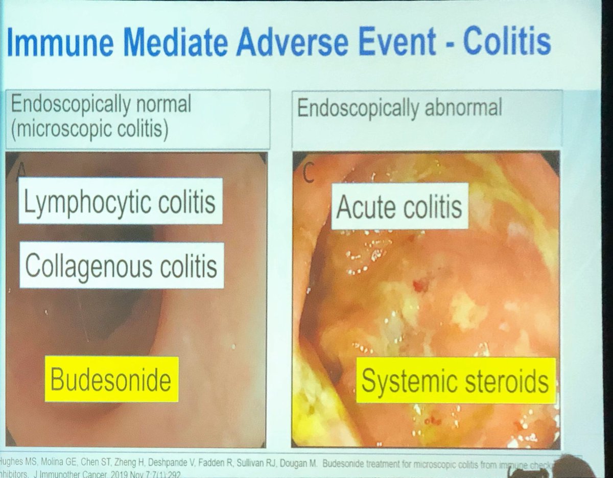 Maryam Pezhouh, MD, MS tweet media