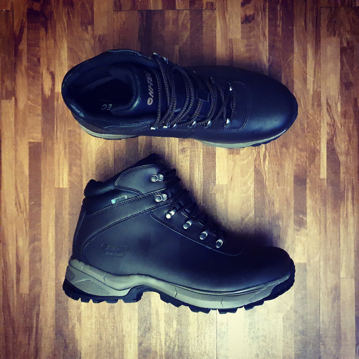 Paulbaxterphoto tweet media