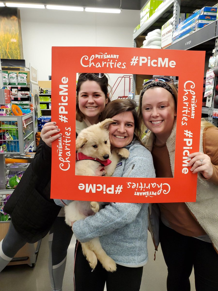 Another fur-ever home found! Welcome home, Bella! #NationalAdoptionWeekend #PicMe #IAdopted @PetSmartChariTs