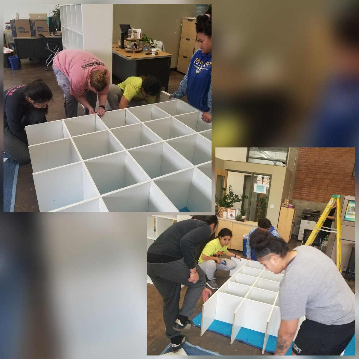 oahot1's tweet photo. Yesterday @LadyVipersRugby got to volunteer #serviceproject building shelves, painting walls and moving furniture at #UCASA.  We we're happy to help a company that helps other in need. https://t.co/lPhSNnwqB9