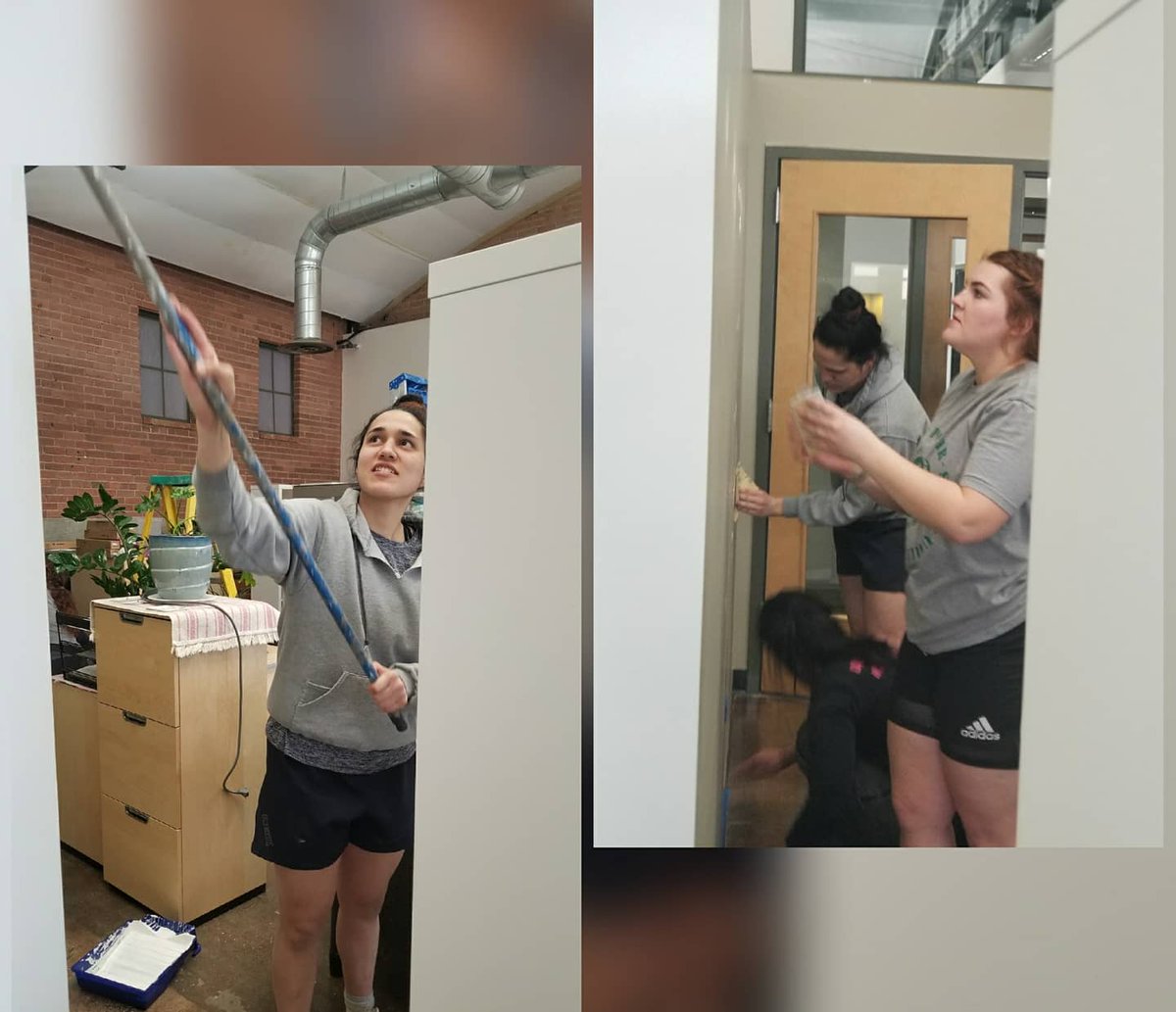 oahot1's tweet photo. Yesterday @LadyVipersRugby got to volunteer #serviceproject building shelves, painting walls and moving furniture at #UCASA.  We we're happy to help a company that helps other in need. https://t.co/lPhSNnwqB9