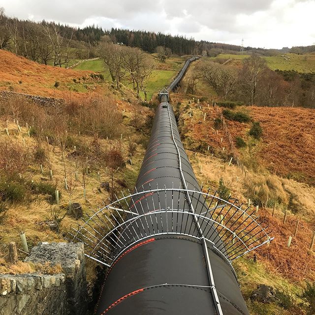 WalesTrails's tweet photo. Walestrails has been out and about at Maentwrog today checking out an amazing new walk for a future blog post. We kept bumping into the crazy pipeline. #mywalestrails #llannerch #beautifulwales #pipeline #peacefulplace…
📸 https://t.co/v2AcxrqZkY via https://t.co/IFM5z5YKmS https://t.co/yBhdbm0jyu