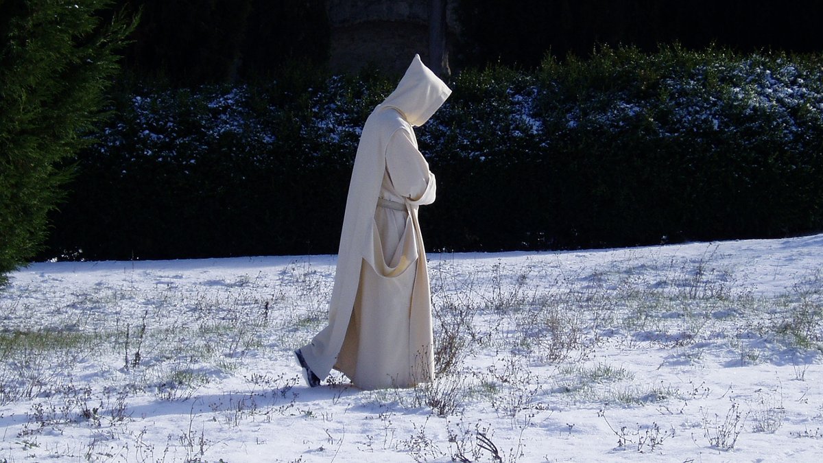 Luis Landeira Caro tweet media