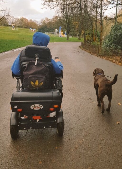 RoloWimbush's tweet photo. @benwimbushSCORD @mybilitychris @gofundme Hm @benwimbushSCORD how can you be celebrating #InternationalWheelchairDay & not use 1 snap of us out & about❤#rolo #Rolowimbush #chocolatelabrador #dogsoftwitter #DogsAreAmazing #Mansbestfriend #dogs #puppy in training via #dogaid to be an #assistancedog for #benwimbushSCORD https://t.co/tnWYPJv2M4