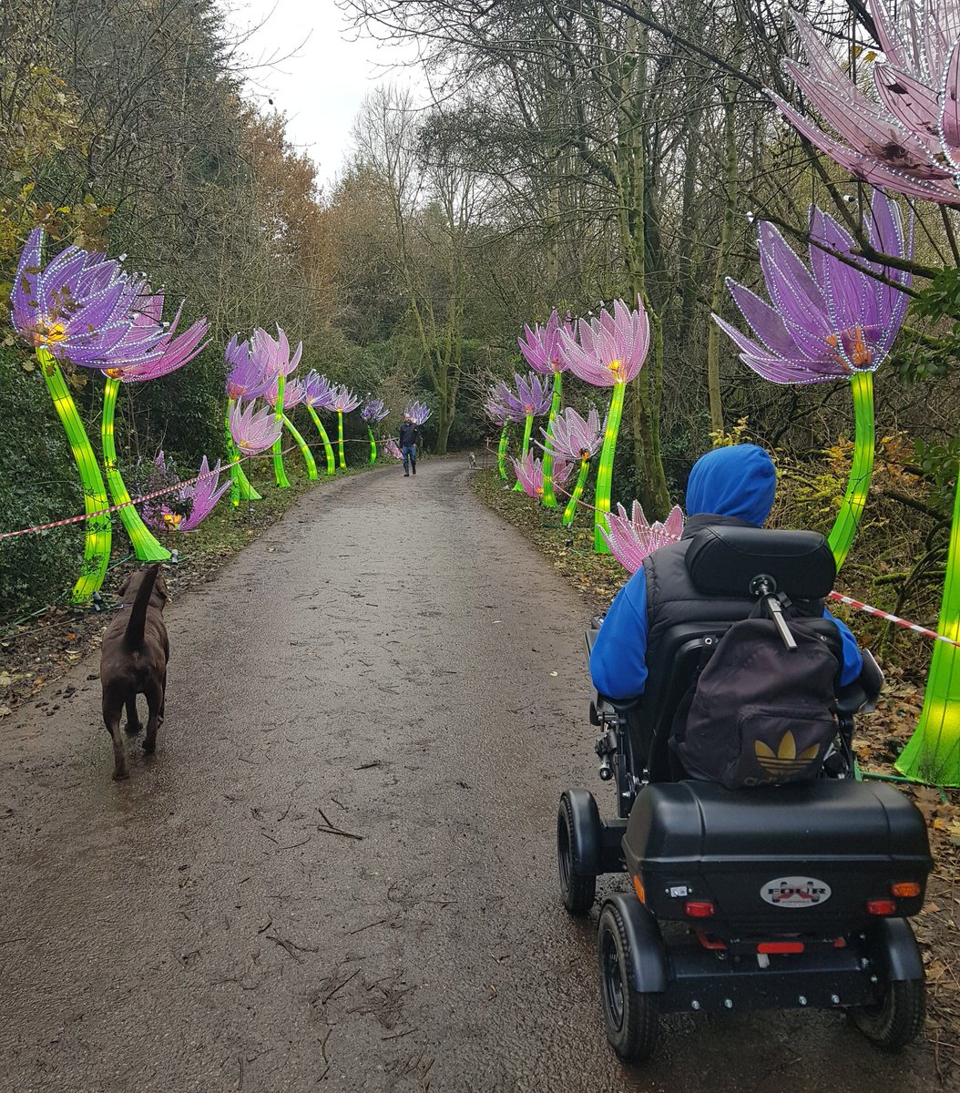 RoloWimbush's tweet photo. @benwimbushSCORD @mybilitychris @gofundme Hm @benwimbushSCORD how can you be celebrating #InternationalWheelchairDay & not use 1 snap of us out & about❤#rolo #Rolowimbush #chocolatelabrador #dogsoftwitter #DogsAreAmazing #Mansbestfriend #dogs #puppy in training via #dogaid to be an #assistancedog for #benwimbushSCORD https://t.co/tnWYPJv2M4
