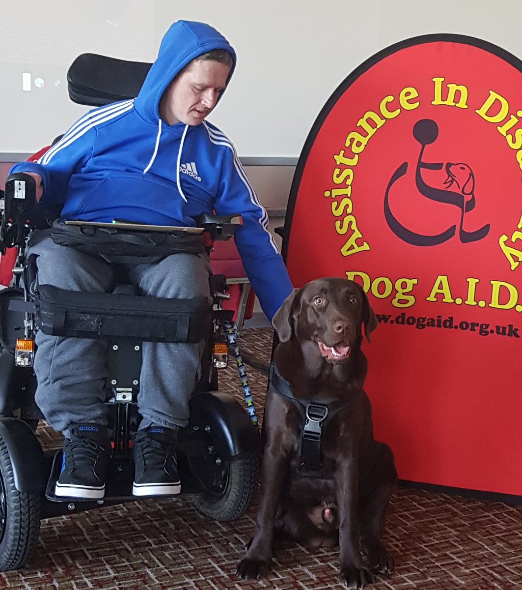 RoloWimbush's tweet photo. @benwimbushSCORD @mybilitychris @gofundme Hm @benwimbushSCORD how can you be celebrating #InternationalWheelchairDay & not use 1 snap of us out & about❤#rolo #Rolowimbush #chocolatelabrador #dogsoftwitter #DogsAreAmazing #Mansbestfriend #dogs #puppy in training via #dogaid to be an #assistancedog for #benwimbushSCORD https://t.co/tnWYPJv2M4