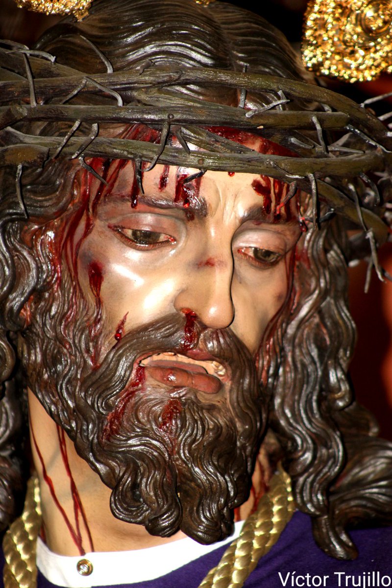 castobetis's tweet photo. Mirada llena de Humildad...
@DoloresdelCerro https://t.co/Shco9O3Qhu