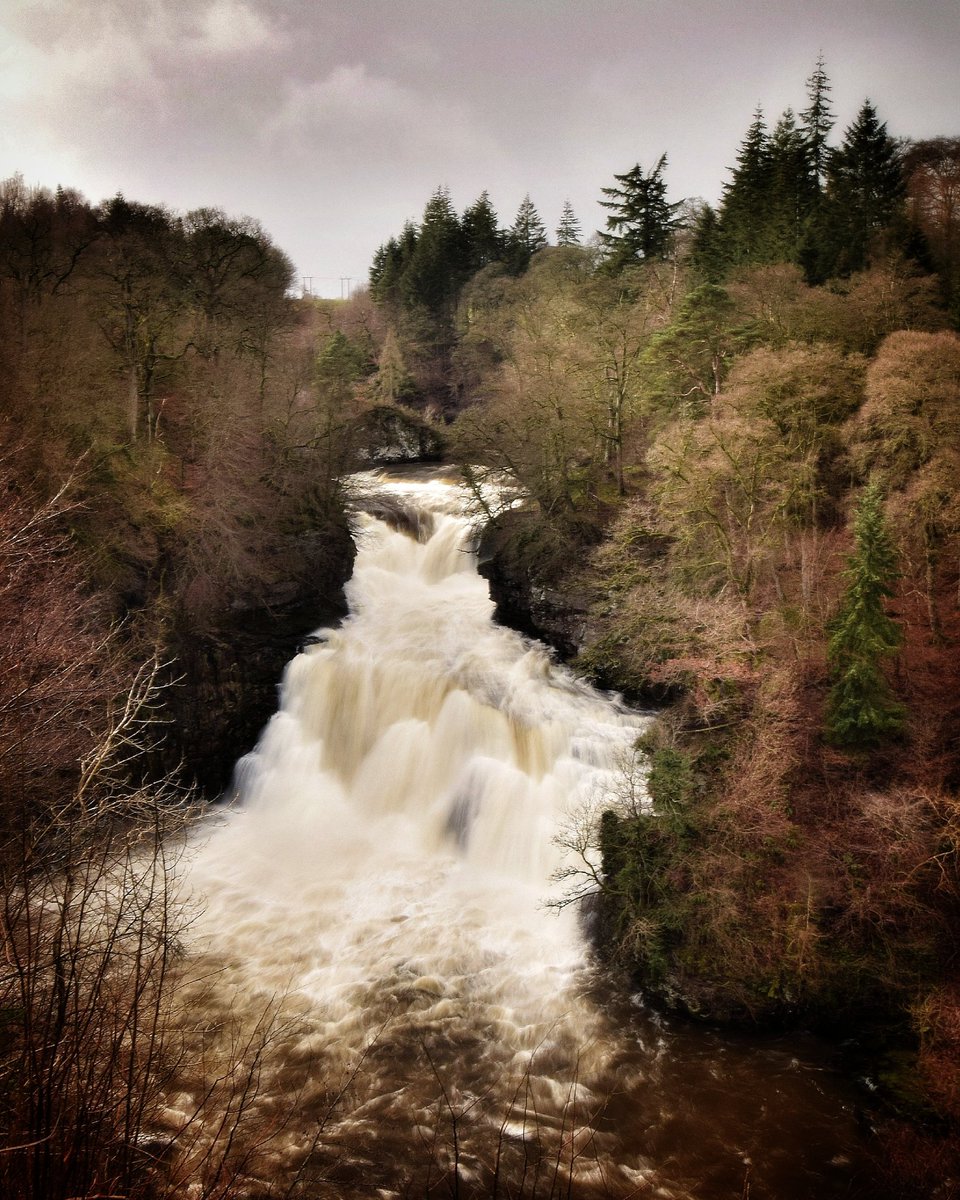 StuartRamsay39's tweet photo. Plenty of water flowing over the Falls of Clyde at the moment. The power of nature never fails to impress!! @visitscotland @VsitLanarkshire @TheFallsOfClyde @ScotsMagazine @Scotland #fallsofclyde #corralinn #waterfall #Lanark #lanarkshire #Scotland #landscape #scotspirit https://t.co/nWkMSzNZpu