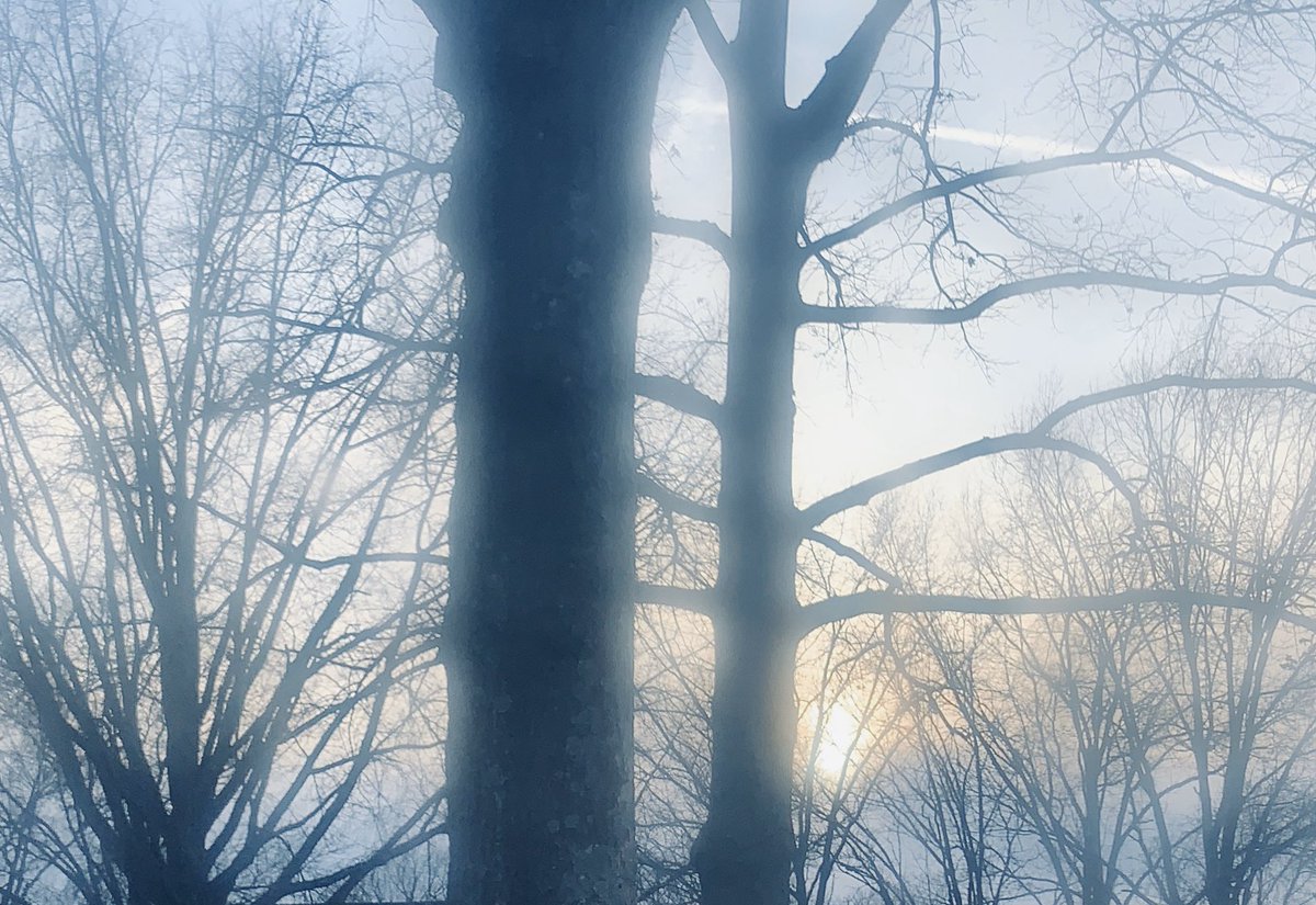 michaelschweitz's tweet image. Something to be happy about today?  Even something small. It’s good to say it out loud. 

It’s 5:45pm and the sun is still shining! ☀️🌷💐🌼
#springisonitsway