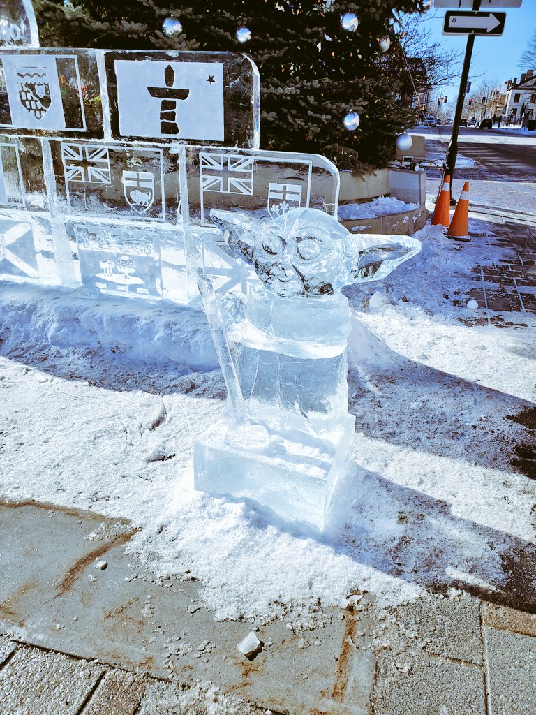 Adam Casey tweet media