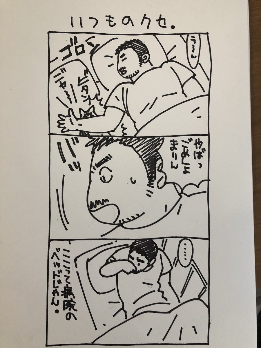 ついつい隣で猫が寝てると勘違いしてしまう。 