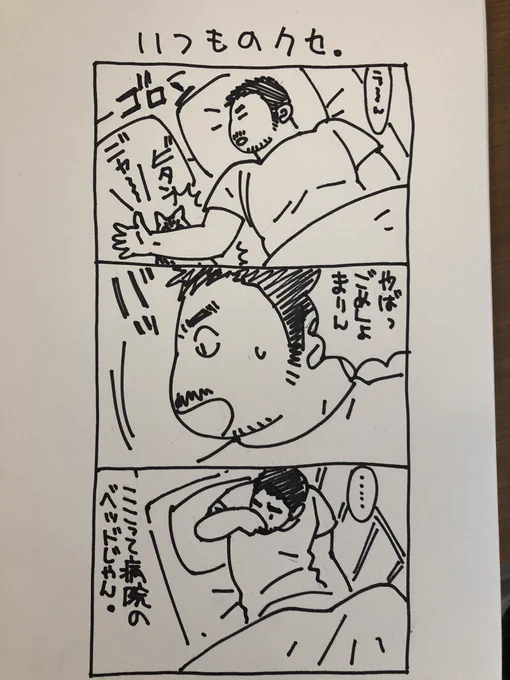 ついつい隣で猫が寝てると勘違いしてしまう。 