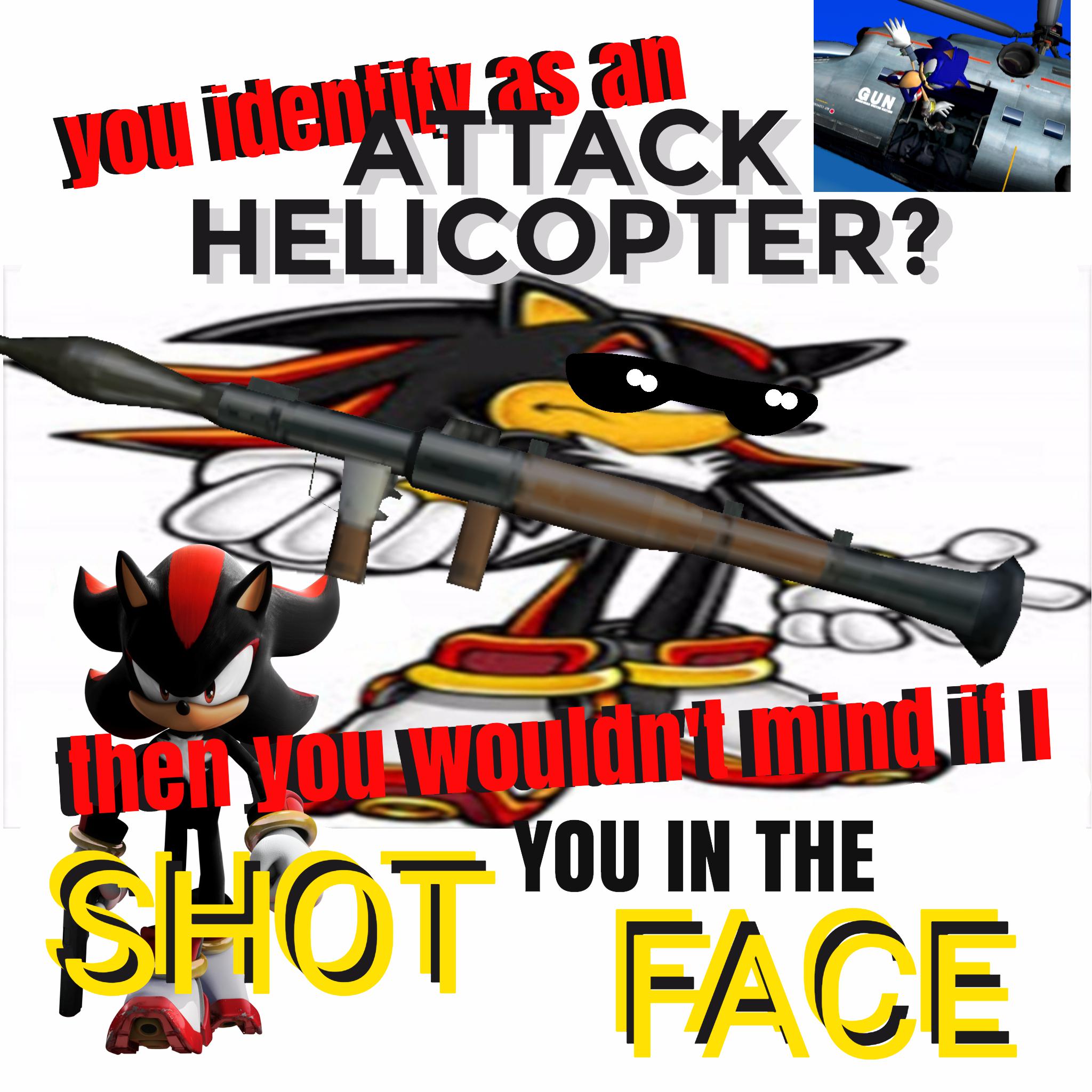 onehookeduphedgehog: So shadow's a G.U.N agent in