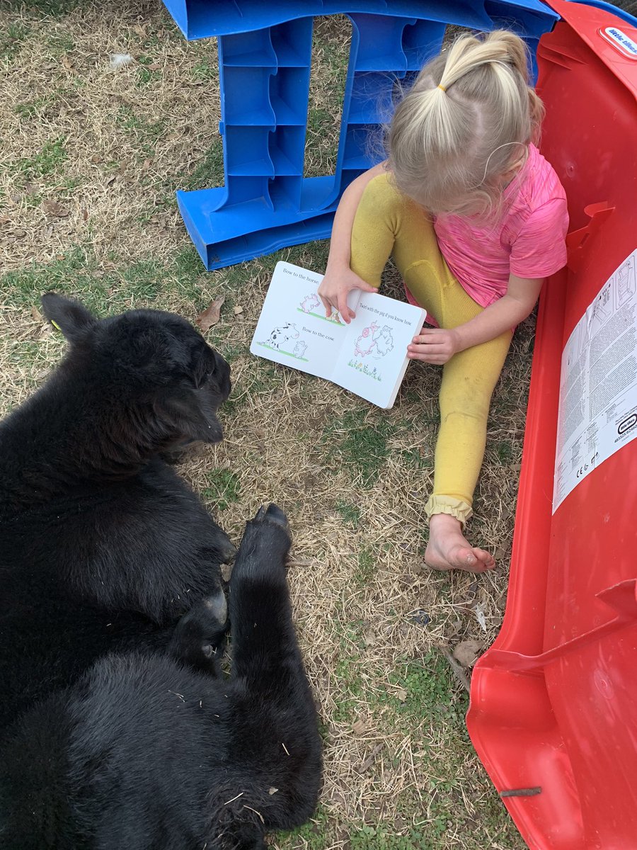 wdinz's tweet photo. Reading is important...even to cows. https://t.co/noYZvFkFof