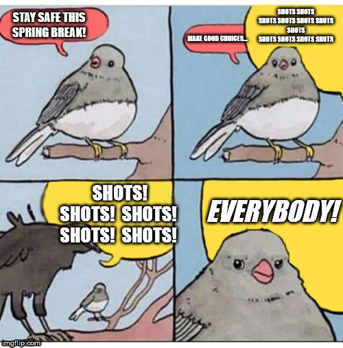RWMcGreevy's tweet photo. Spring Break basically starts this Friday! While you deal with your last few days of classes here are some memes that will hopefully cheer you up! We could all use it... For more Spring Break tips, check out #SSBAW #MimsPR @GeorgeMasonU @SSACGMU @GMU_PAC @MasonGreeks https://t.co/VRdfe8dizs