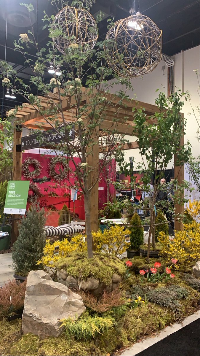 It is the final day to bid on a tree supplied by <a href="/countrysidegard/">Countryside L & GC</a>. 100% of the proceeds go to Youth Central - auction closes at 6pm tonight! #CHGS20