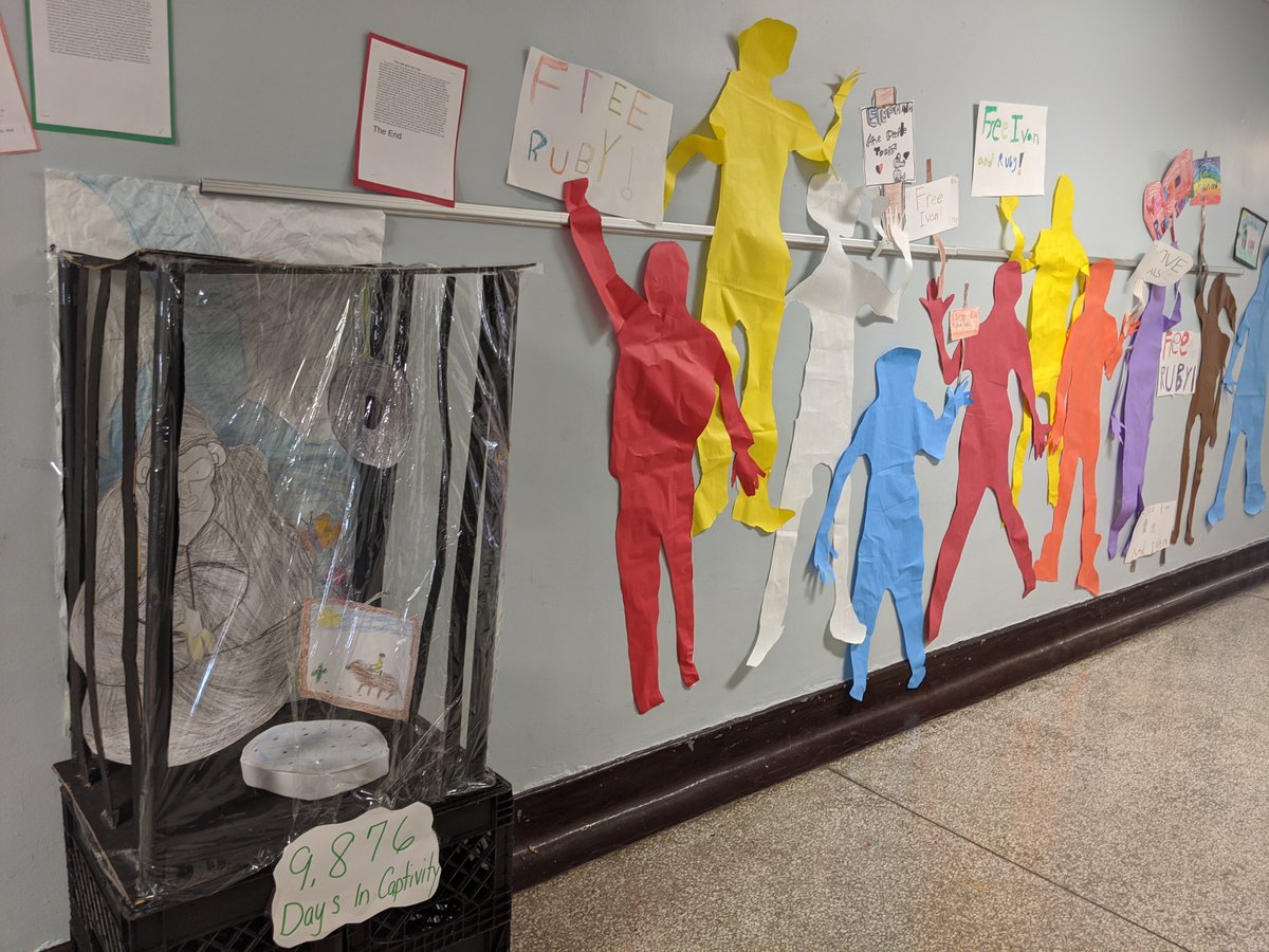 MMaccaquano's tweet photo. HLB 3rd grade...The One and Only Ivan. Our 3rd graders so artistic and creative. @wnyhlb @WestNYSchools @SuperintClara @3rdgradejays @FRSNewJersey https://t.co/WfRCAHCoLd