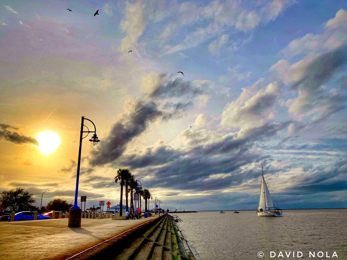 David Nola tweet media