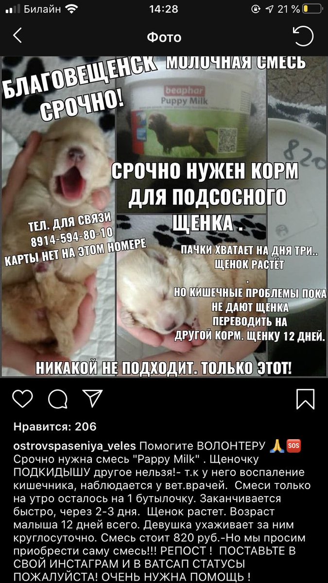 ternopolis_'s tweet photo. АРМИ, НУЖНА ПОМОЩЬ! 
Мы всегда восхищаемся читая про зарубежных арми, которые делают пожертвования и спасают кого-то! Давайте не будем отставать! Все чеки и видео с передачей смеси будут в среду как только купим! Если готовы помочь то + в коменты я вам напишу #btsarmy  #ARMY https://t.co/kMIwDrAYJZ