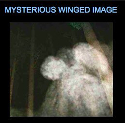 sylv_'s tweet image. ....👁👁