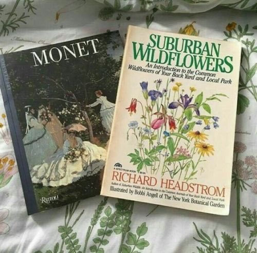 sylv_'s tweet image. ....👁👁