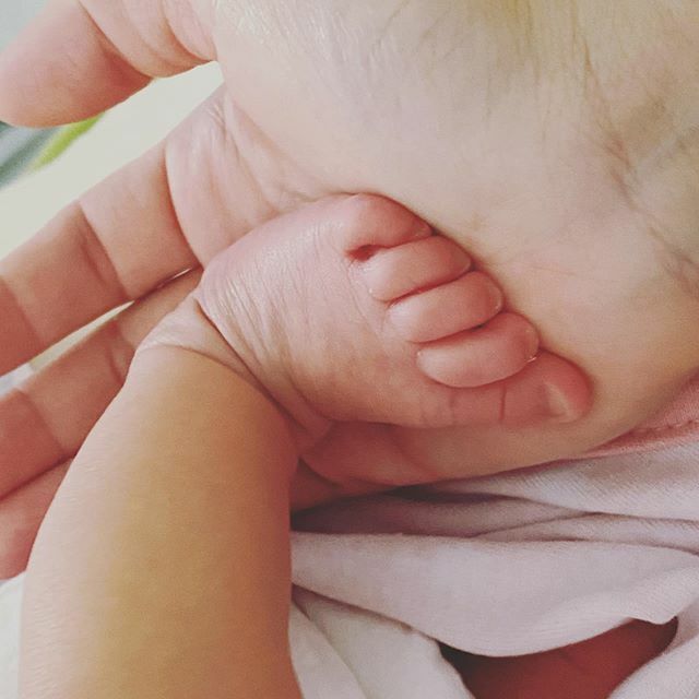 lauragleestudio's tweet photo. New beginnings... this little one has been my biggest creative project of 2019... welcome to the universe baby Sabrina!
#mommysgirl🎀 #creativemom #worldoflauralee #love #babygirl #februarygirl #february21 #love #cantwaitforspring #sabrina https://t.co/8fNMbZU2zz