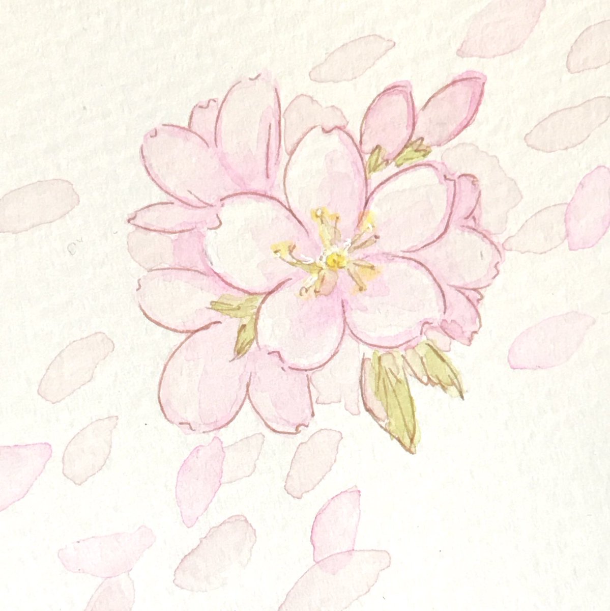 和土 遼 もみじさん Yoshirou 93 主催の 舞い散る桜展 に参加させていただいた絵まとめ 4枚目は 年前の過去絵で申し訳ない気持ち 過去絵と現在絵を比較してみようキャンペーン 昔と比べたら少しは桜らしくなったかな 大好きな花なので