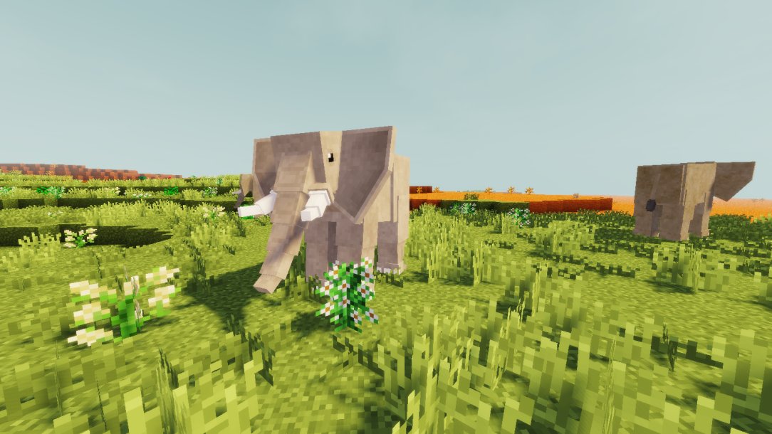 zawamod_evolved tweet picture