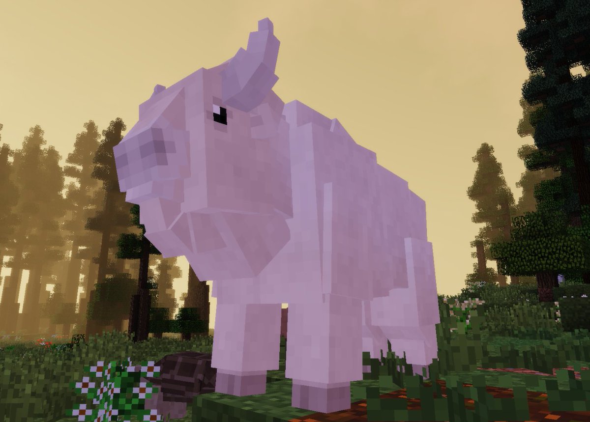 zawamod_evolved tweet picture