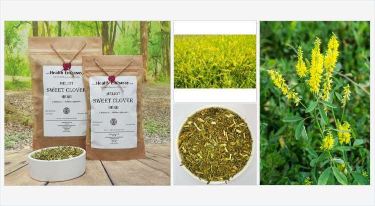 HealthEmbassy's tweet photo. Meliot Sweet Clover Herb (Melilotus L.) #meliotsweetcloverherb #meliotsweetclover #melilotus #melilot #sweetclover #kumoniga #herbaltea #vegetarian #remedies #homeopathy #naturalmedicine #organicherb #herbalism #spell #dietary #diet #treatment #organic https://t.co/YOAX6NNr6D https://t.co/mhZ8xVMgpc