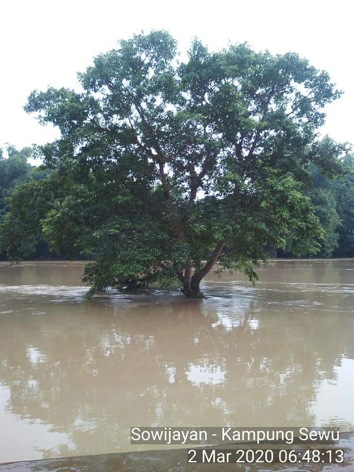 naserehe's tweet photo. Update Tinggi Muka Air di Sowijayan - Kampung Sewu

Senin, 2 Maret 2020
Pukul 06.49 WIB 
Bengawan Solo Normal (turun) 
20 cm dibawah Siaga Hijau.

From https://t.co/zdfv3EOnrg https://t.co/TBkT6gENtO