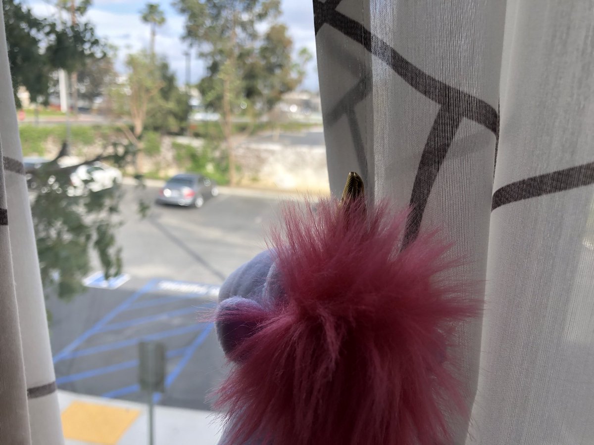 technology_rsd's tweet photo. A room with a view @DoubleTree. #Conference #roomwithaview #aeriessis https://t.co/psAtukO06r